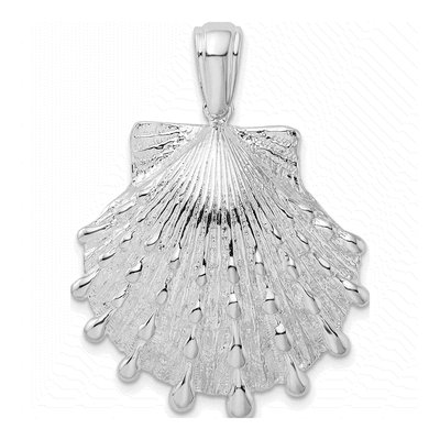 Sterling Silver Lion's Paw Shell Pendant