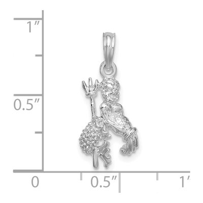 Sterling Silver Aquarius Zodiac Pendant – view 4