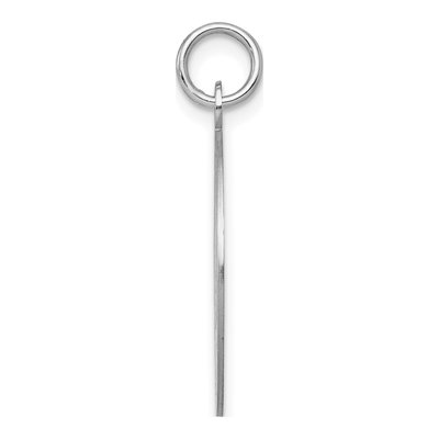 Sterling Silver Graduation Day Disc Charm – view 3