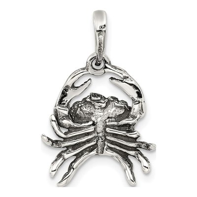 Sterling Silver Cancer Zodiac Pendant – view 5