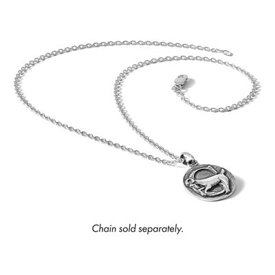 Sterling Silver Capricorn Zodiac Pendant – view 6
