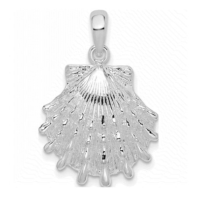 Sterling Silver Lions Paw Shell Pendant