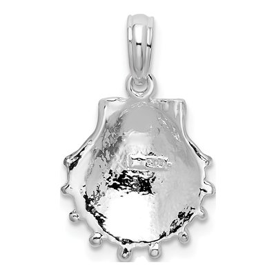 Sterling Silver Lions Paw Shell Pendant – view 5