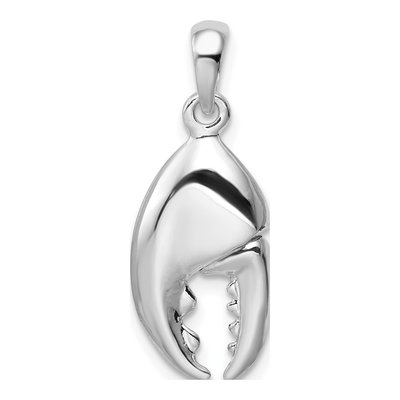 Sterling Silver 3D Claw Pendant