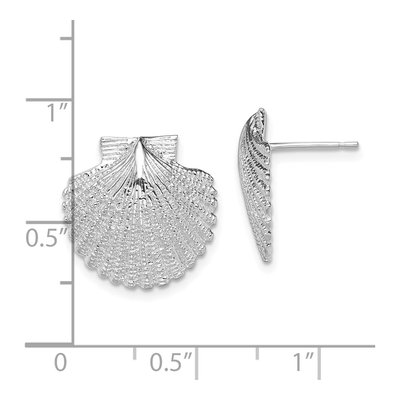 Sterling Silver Scallop Shell Stud Earrings – view 5