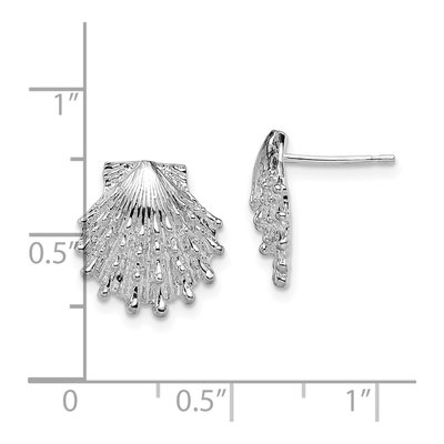 Sterling Silver Lions Paw Shell Stud Earrings – view 5