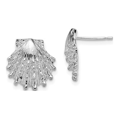 Sterling Silver Lions Paw Shell Stud Earrings