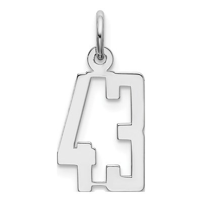Sterling Silver Number 43 Charm