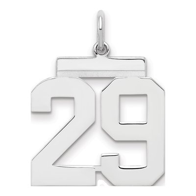 Sterling Silver Number 29 Charm