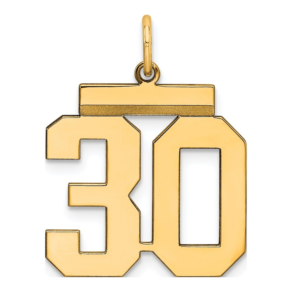 Sterling Silver Gold-Plated Medium Polished Number 30 Charm Pendant