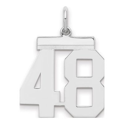 Sterling Silver Number 48 Pendant