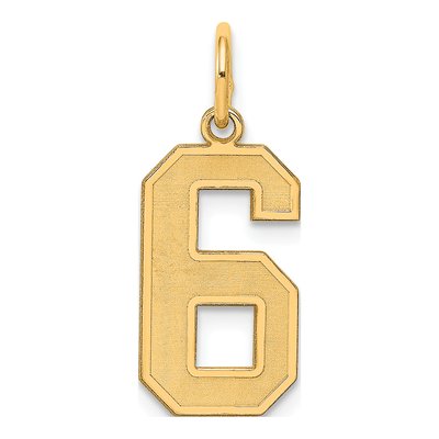 Sterling Silver Gold-Plated Number 6 Charm