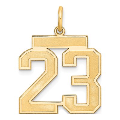 Number 23 Charm