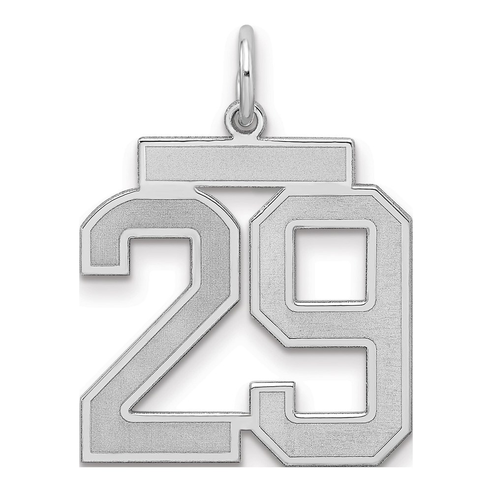 Sterling Silver Number 29 Charm