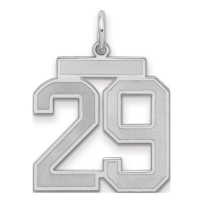 Sterling Silver Number 29 Charm