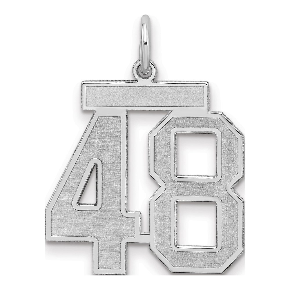 Sterling Silver Number 48 Charm