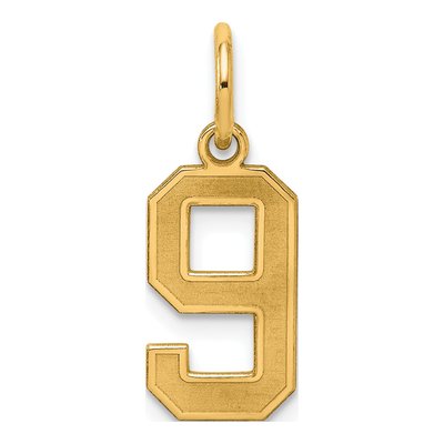 Sterling Silver Gold-Plated Number 9 Charm
