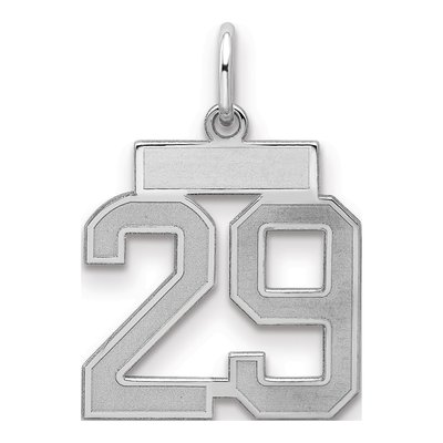 Sterling Silver Number 29 Charm