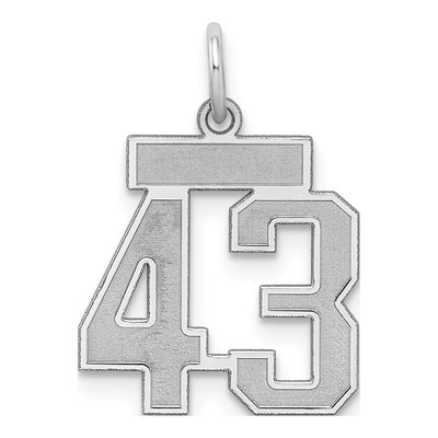Sterling Silver Number 43 Charm