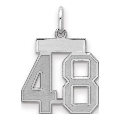 Sterling Silver Number 48 Charm
