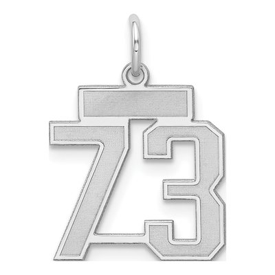 Sterling Silver Number 73 Charm