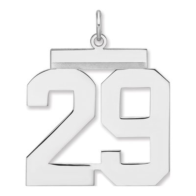 Sterling Silver Number 29 Charm
