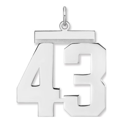 Sterling Silver Number 43 Charm Pendant