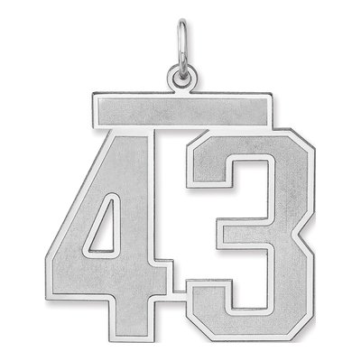 Sterling Silver Number 43 Charm