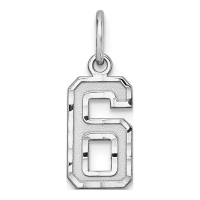 Sterling Silver Diamond-Cut Number 6 Charm