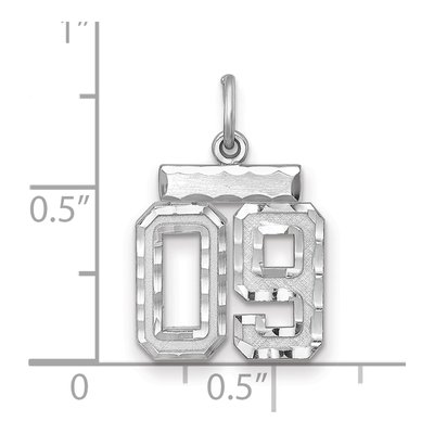Sterling Silver Diamond-Cut Number 09 Charm – view 2