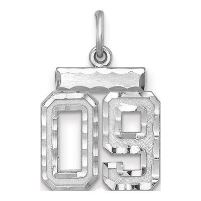 Sterling Silver Diamond-Cut Number 09 Charm