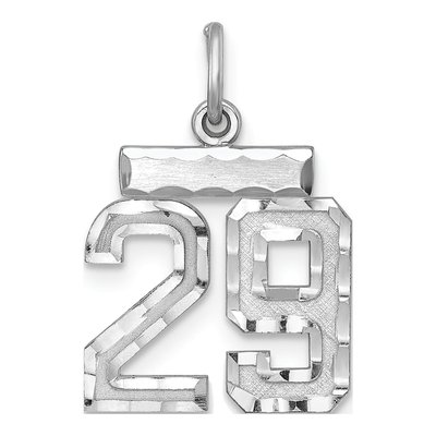 Sterling Silver Number 29 Charm