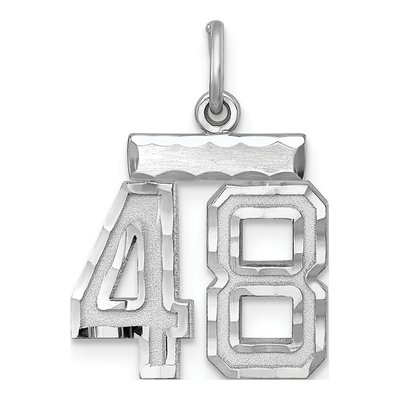 Sterling Silver Number 48 Charm