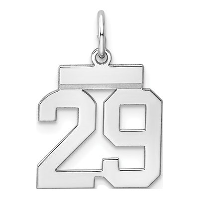 Sterling Silver Number 29 Pendant