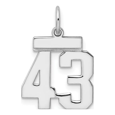 Sterling Silver Number 43 Charm