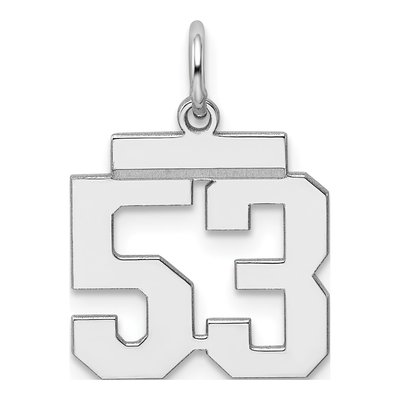 Sterling Silver Number 53 Charm