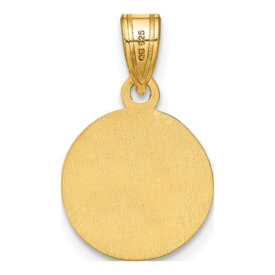 Gold-Plated Sterling Silver Personalized Photo Disc Pendant – view 3