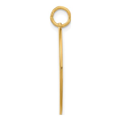 Gold-Plated Sterling Silver Large Photo Charm – view 2