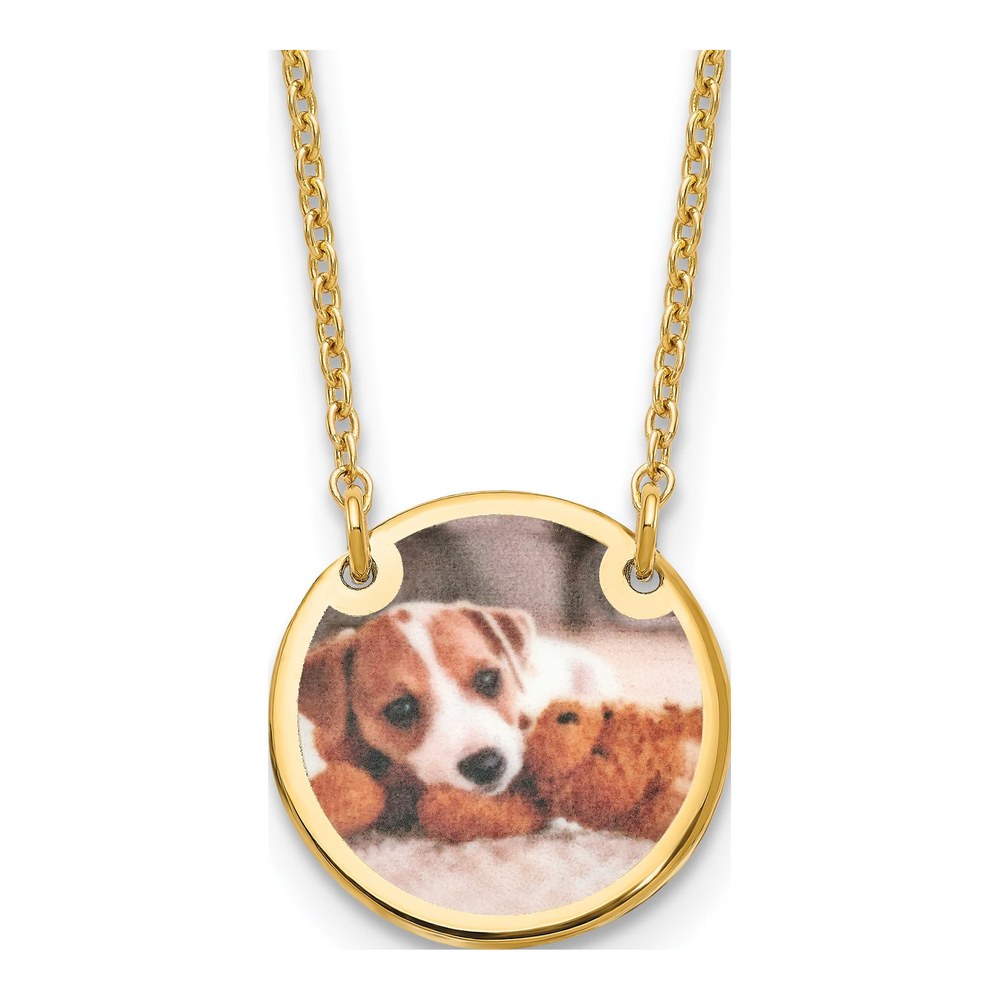 Personalized Photo Disc Necklace, 18" Gold Plated