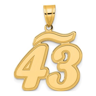 14K Yellow Gold Script Number 43 Pendant