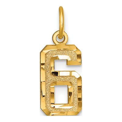 14K Yellow Gold Number 6 Charm