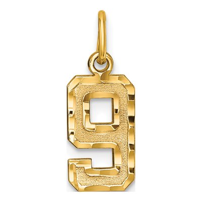 14K Yellow Gold Number 9 Charm