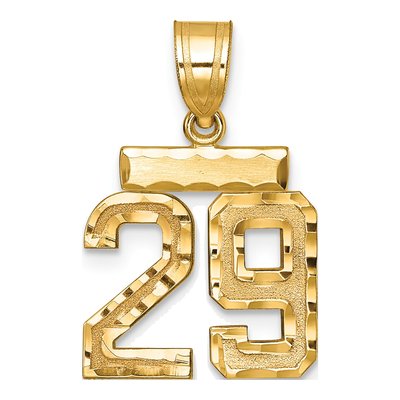 14K Yellow Gold Number 29 Charm