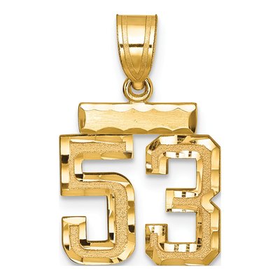 14K Yellow Gold Small Number 53 Charm