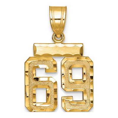 14K Yellow Gold Small Number 69 Charm