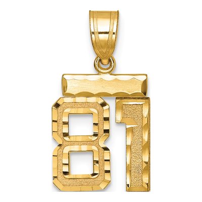 14K Yellow Gold Number 81 Charm