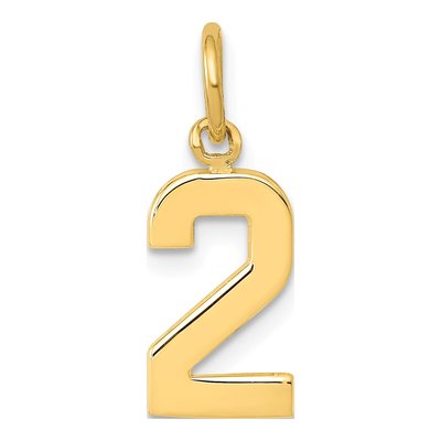 14K Yellow Gold Small Number 2 Charm