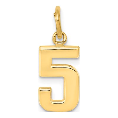 14K Yellow Gold Small Number 5 Charm