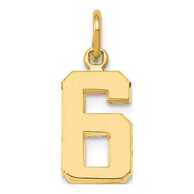14K Yellow Gold Small Number 6 Charm