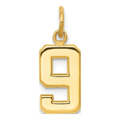14K Yellow Gold Number 9 Charm